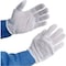 Pip PIP 97-500H Light Weight Inspection Gloves, Hemmed, Cotton, Men's, 1-Dozen 97-500H - alternate 1
